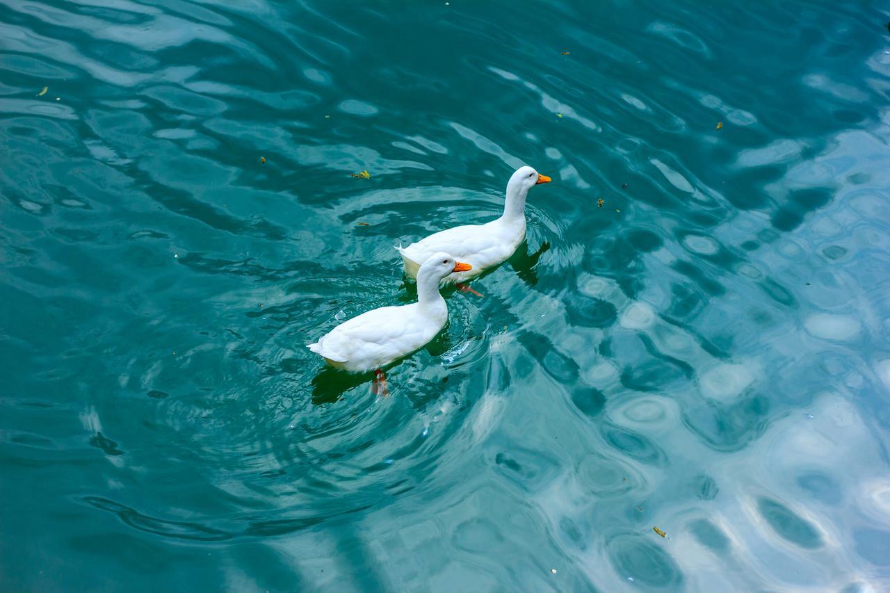 ホテル Amiran'S Lake ティビリシ エクステリア 写真