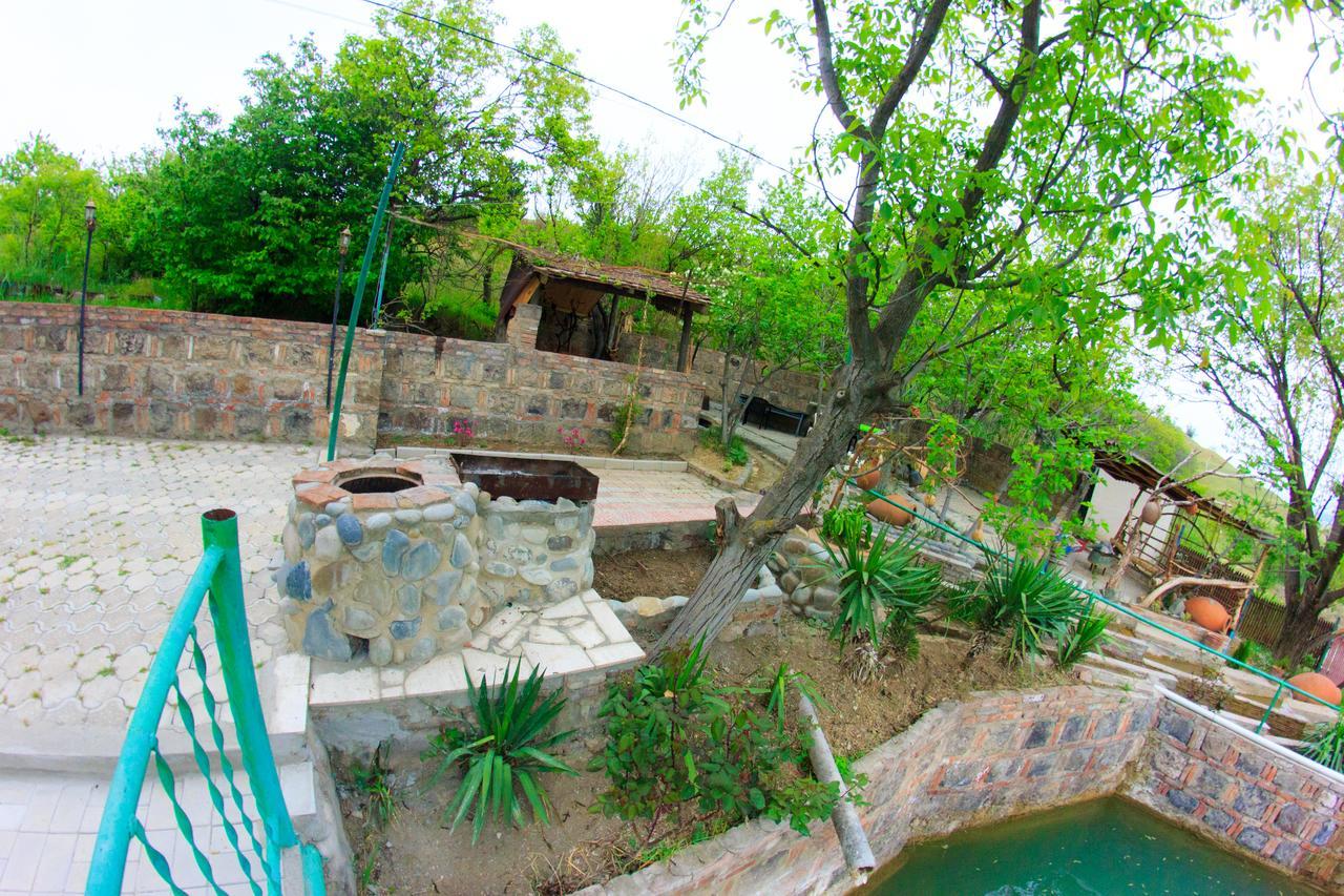ホテル Amiran'S Lake ティビリシ エクステリア 写真