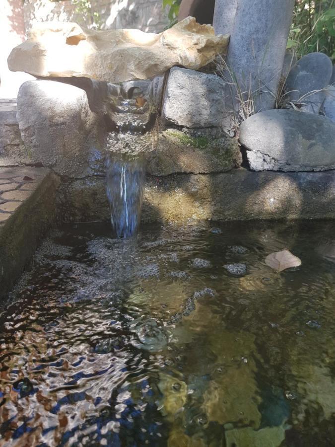 ホテル Amiran'S Lake ティビリシ エクステリア 写真